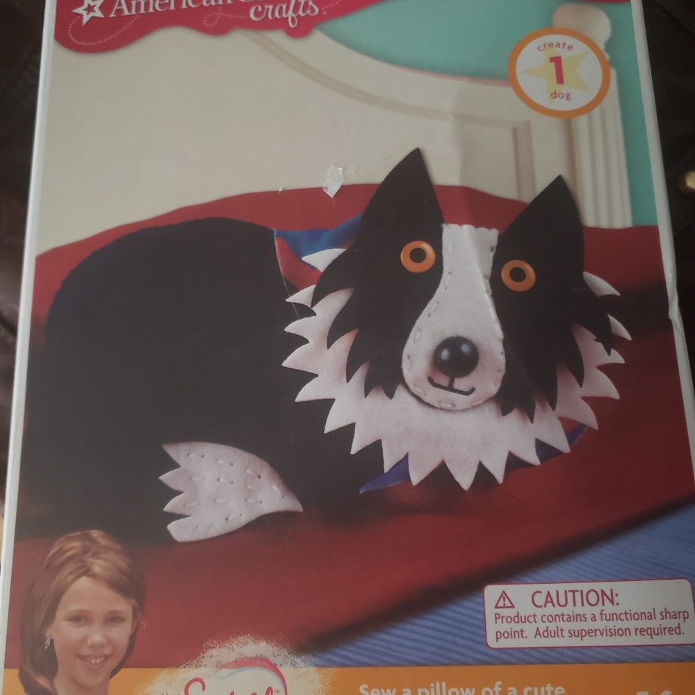 American girl craft